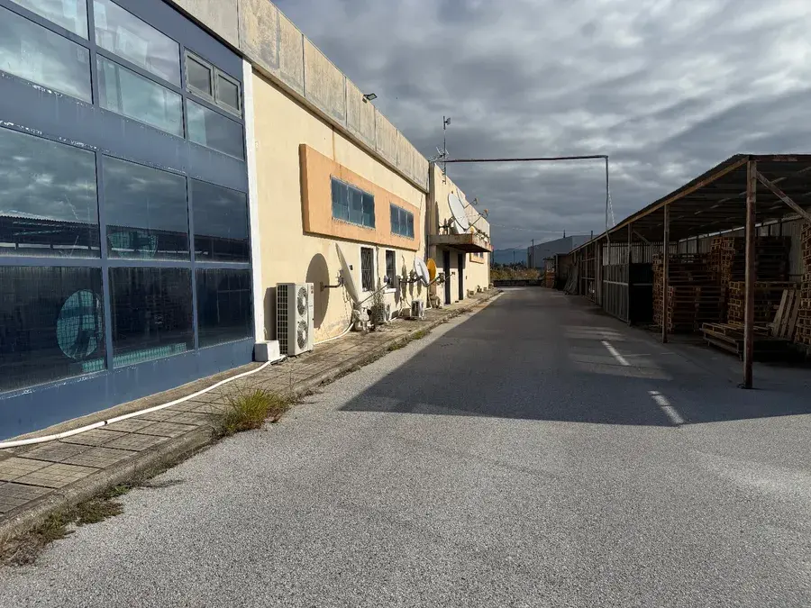 Craft space to rent Neo Risio (Thermi), € 6,500, 1,793 m²